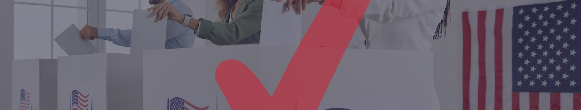 Poll Watcher Principles Image